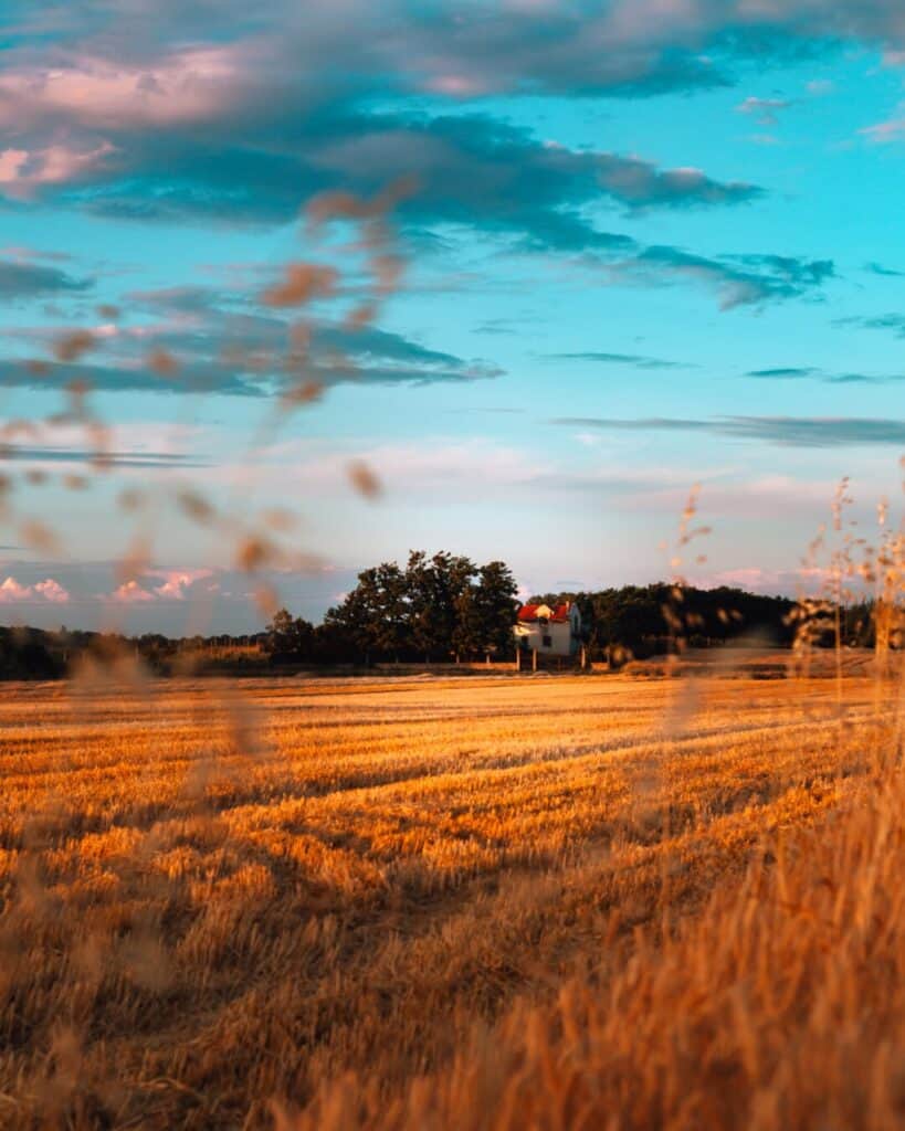 2021 07 28 09 15 34 1080x1350